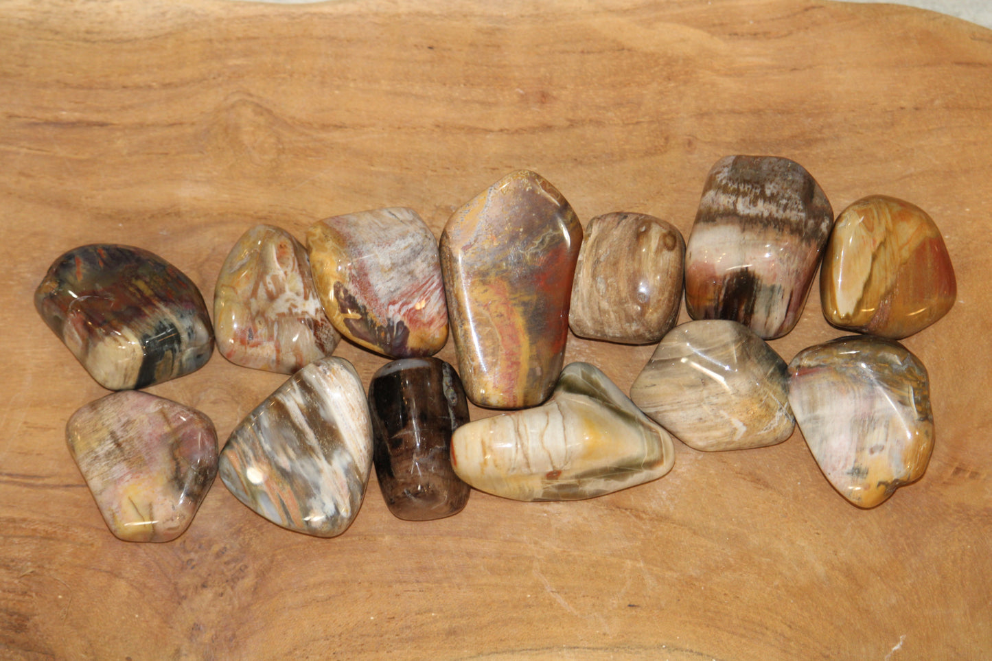 Bois fossilisé (pierre roulée)