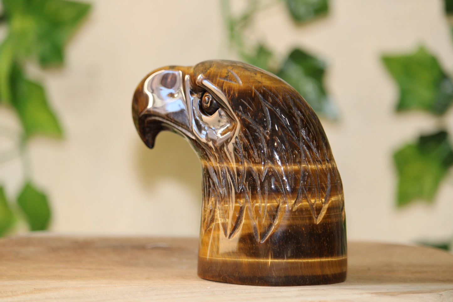 Tête d’Aigle en Oeil de Tigre