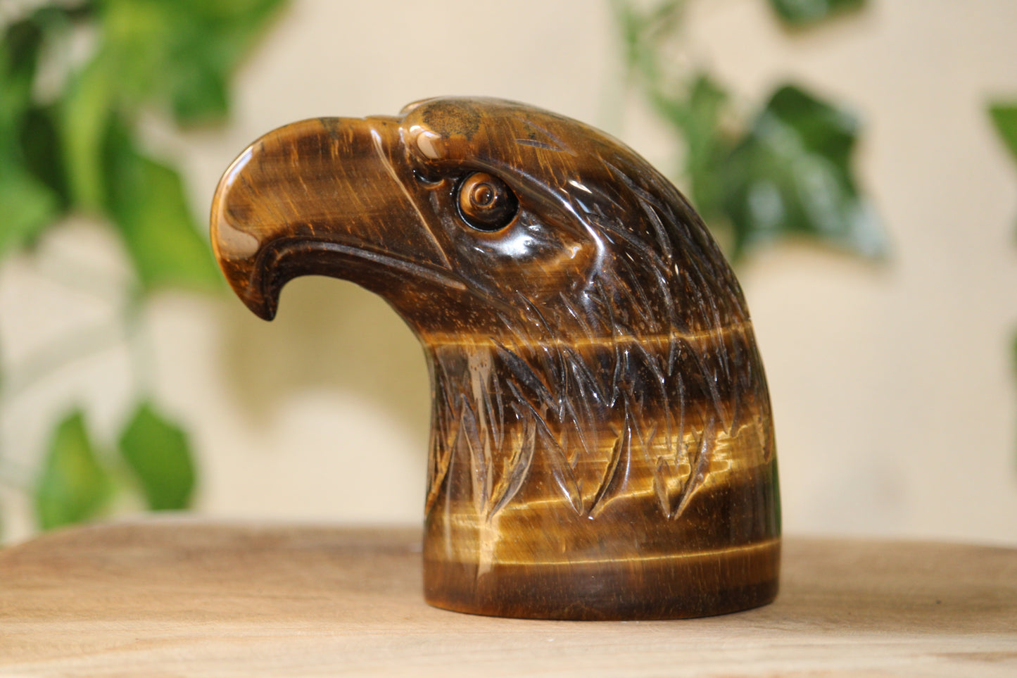 Tête d’Aigle en Oeil de Tigre