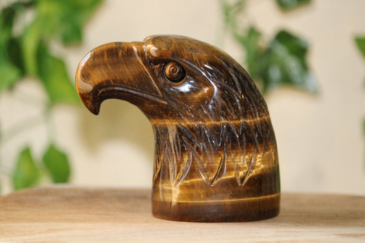 Tête d’Aigle en Oeil de Tigre