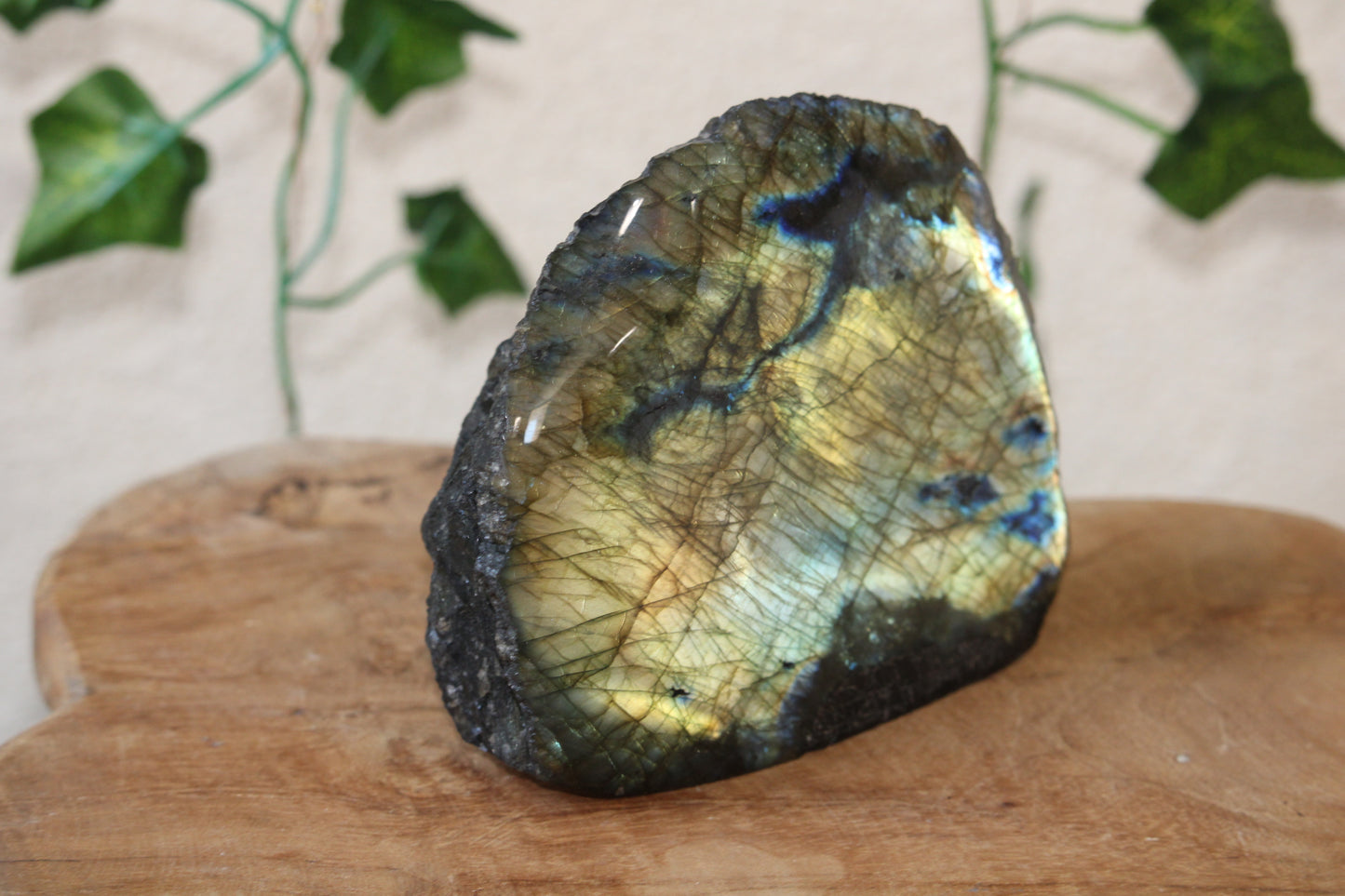 Labradorite « citron »