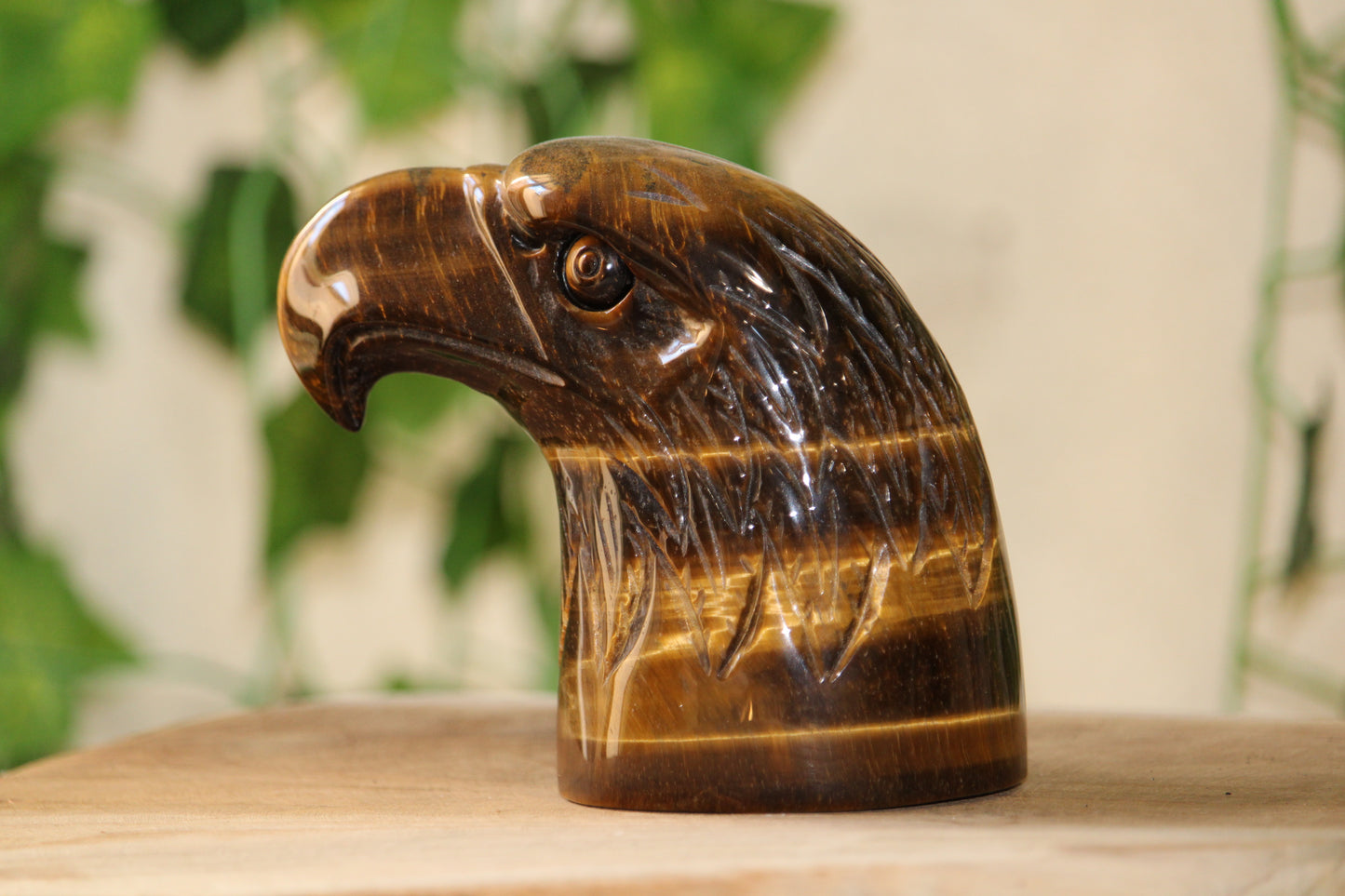 Tête d’Aigle en Oeil de Tigre