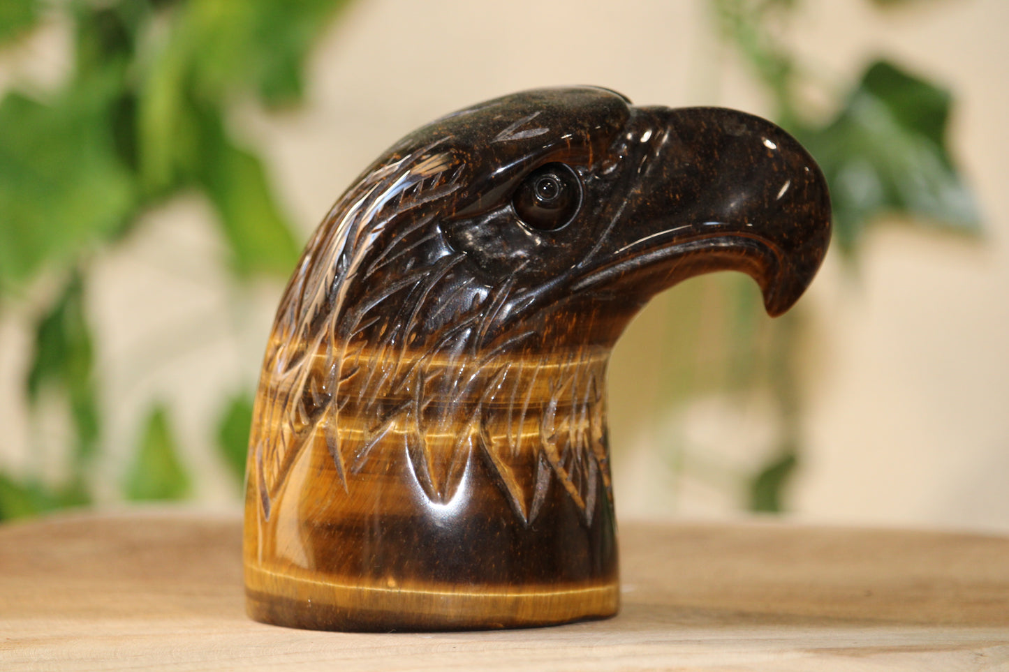 Tête d’Aigle en Oeil de Tigre
