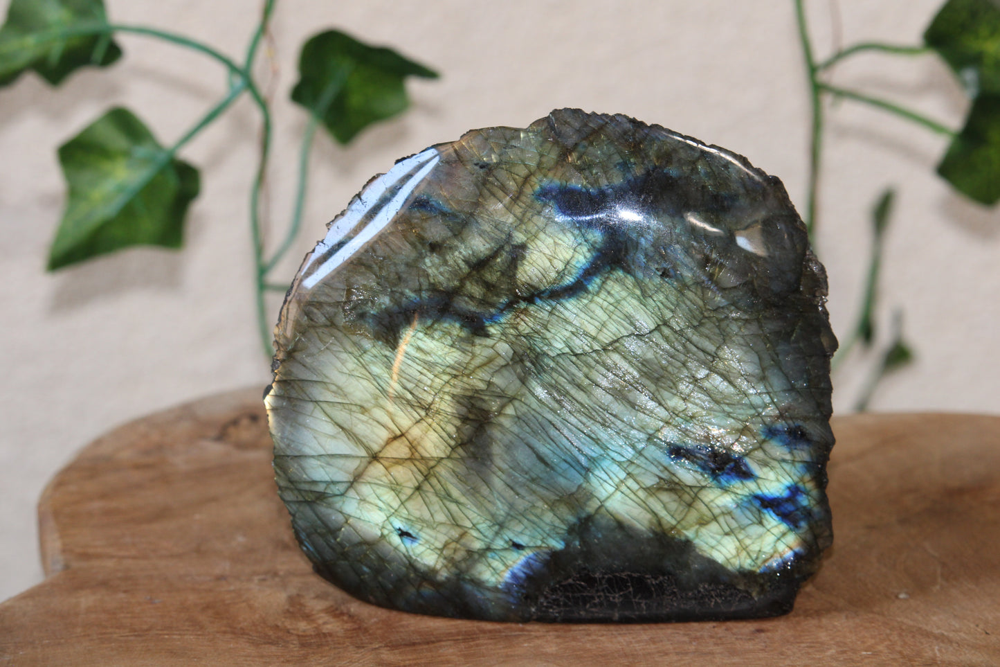 Labradorite « citron »