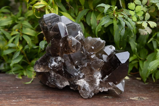 Quartz Fumé