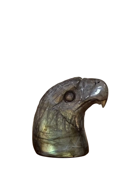 Tête d'Aigle en Labradorite